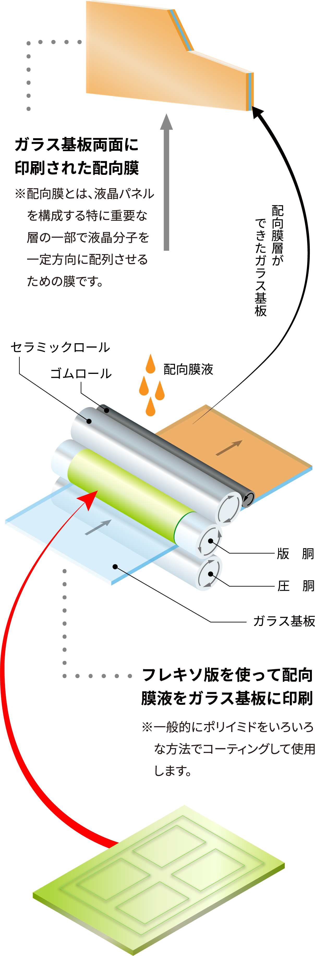 ガラス基板両面に印刷された配向膜：※配向膜とは、液晶パネルを構成する特に重要な層の一部で液晶分子を一定方向に配列させるための膜です。フレキソ版を使って配向膜液をガラス基板に印刷※一般的にポリイミドをいろいろな方法でコーティングして使用します。