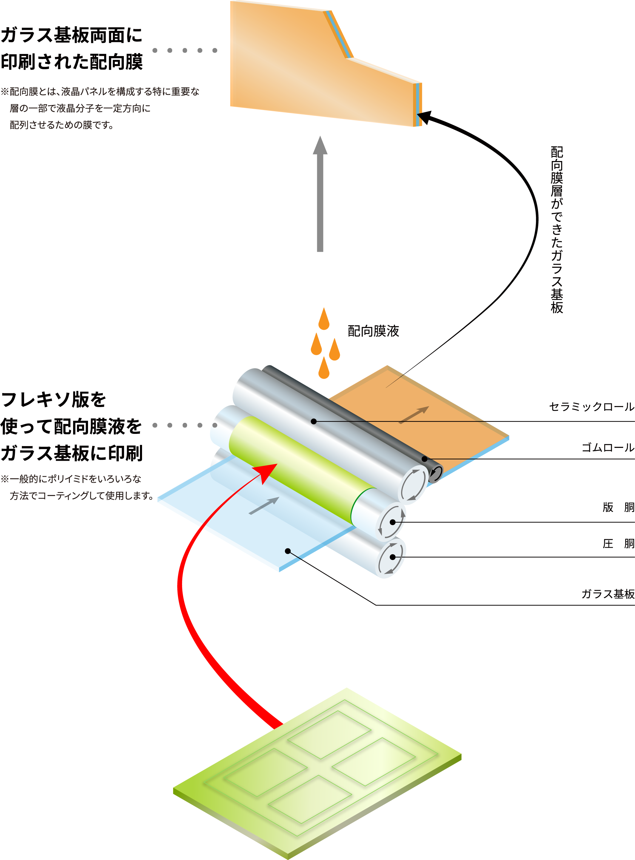 ガラス基板両面に印刷された配向膜：※配向膜とは、液晶パネルを構成する特に重要な層の一部で液晶分子を一定方向に配列させるための膜です。フレキソ版を使って配向膜液をガラス基板に印刷※一般的にポリイミドをいろいろな方法でコーティングして使用します。